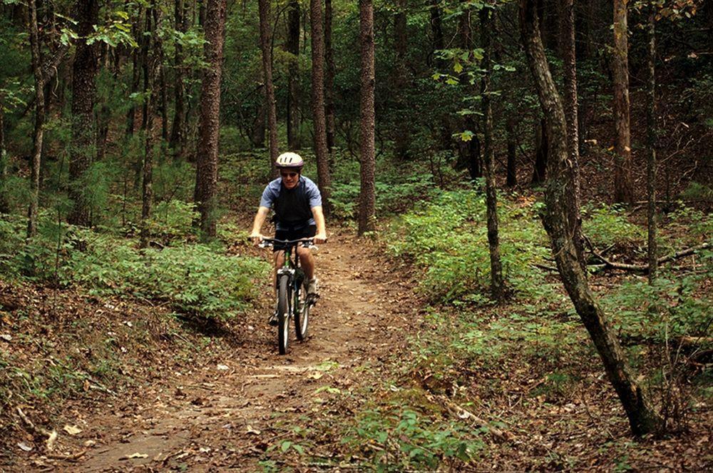 Unicoi State Park & Lodge هيلين المظهر الخارجي الصورة
